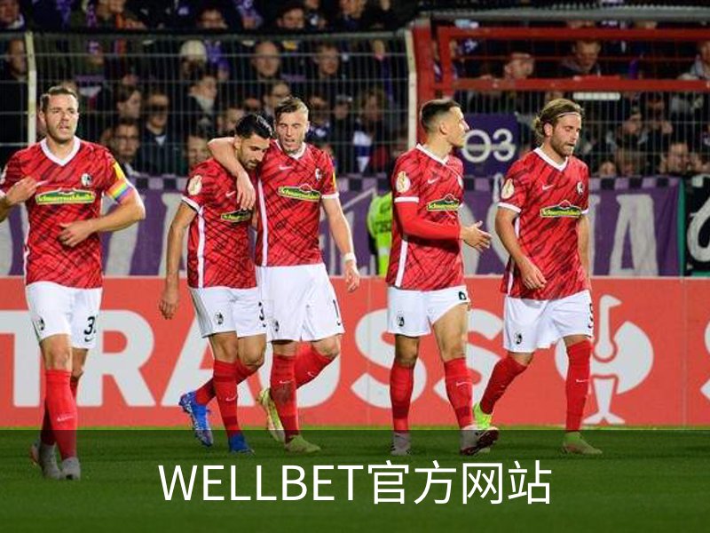 WELLBET官方网站介绍